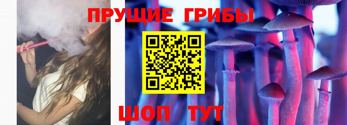 Тула  Псилоцибиновые грибы MAGIC MUSHROOMS  Вход с VPN  где купить наркоту  Галлюциногенные грибы ЛСД 